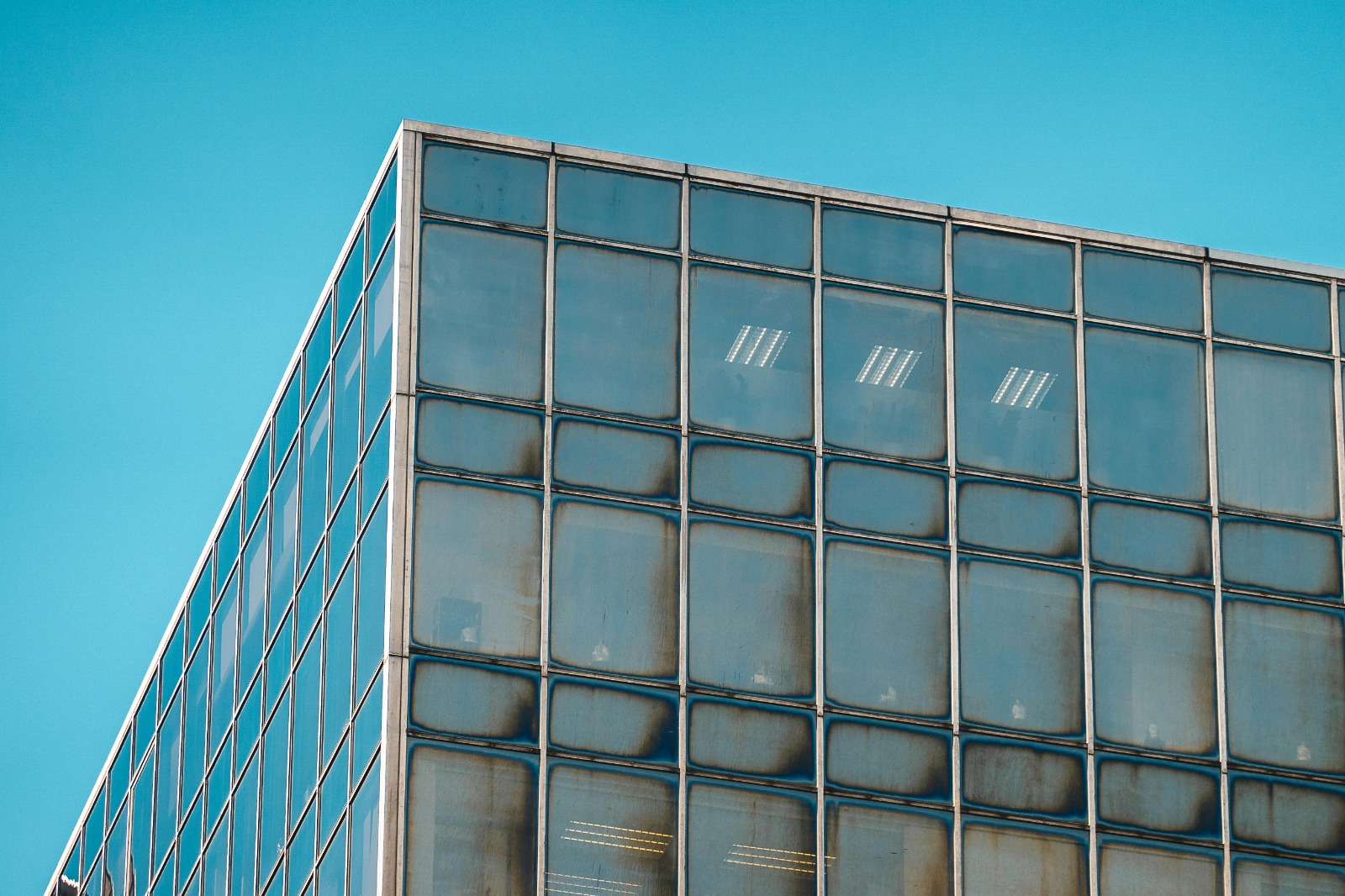 The Future of Software Development: Why Businesses Must Go Digital in 2026